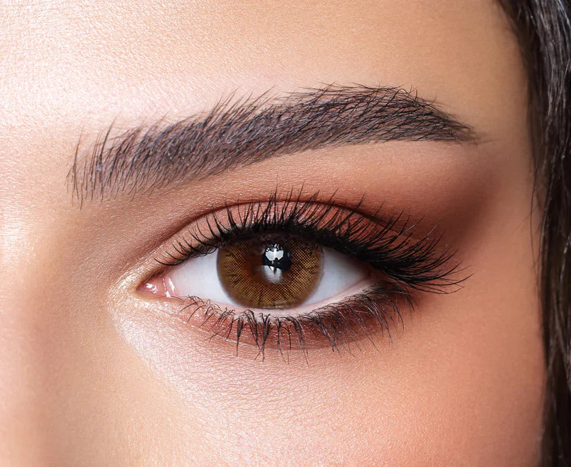 Bella One Day – Hazel Honey Colored Contact Lens | Optical Plaza