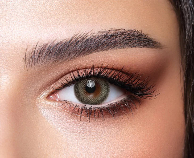 Bella One Day – Pine Colored Contact Lens | Optical Plaza