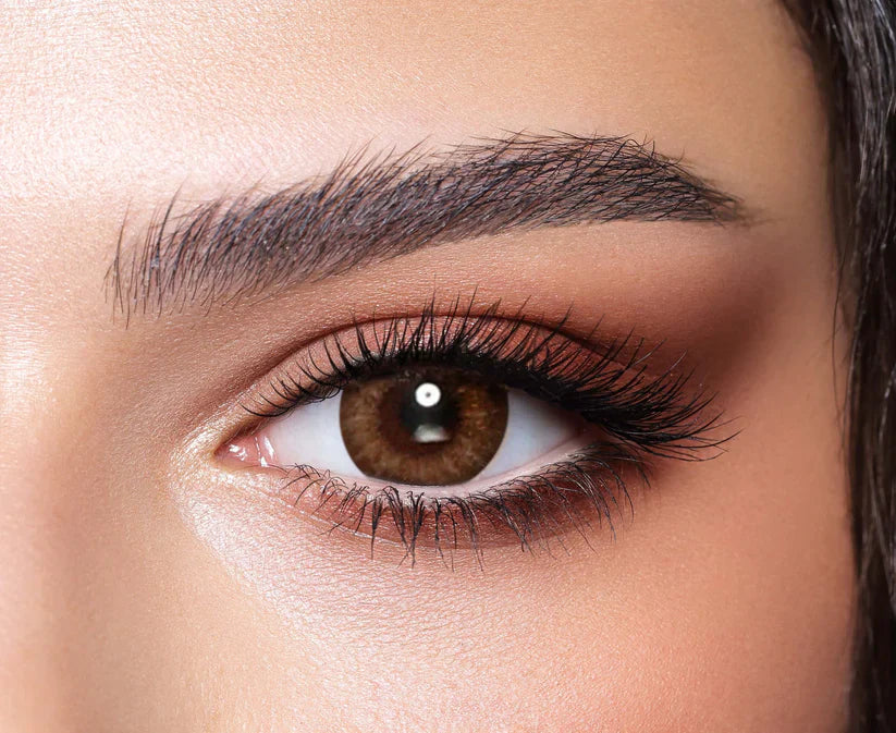 Bella One Day – Almond Brown | Optical Plaza
