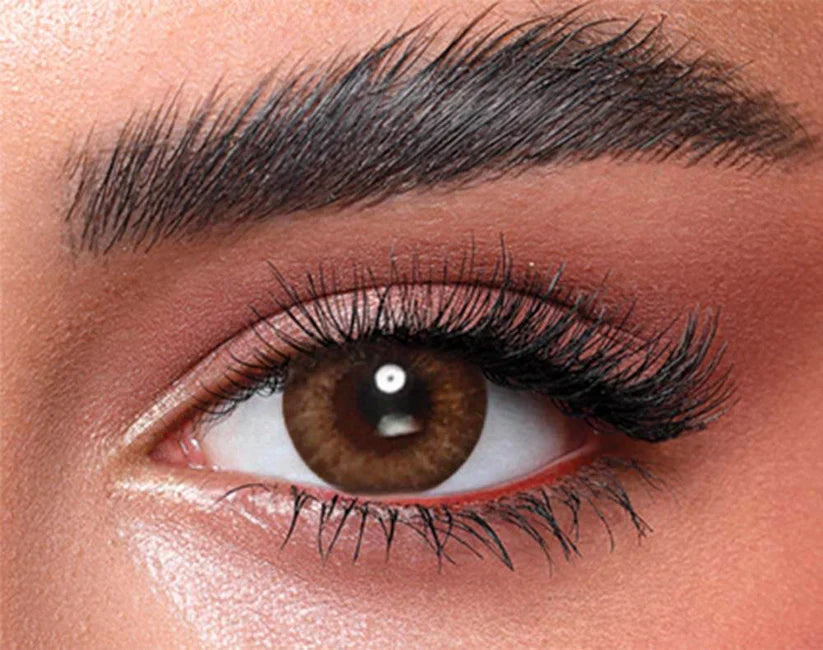 Bella One Day – Almond Brown | Optical Plaza