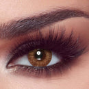 Bella One Day – Almond Brown | Optical Plaza