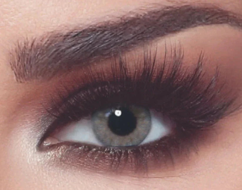 Bella One Day – Rosewood Colored Contact Lens | Optical Plaza