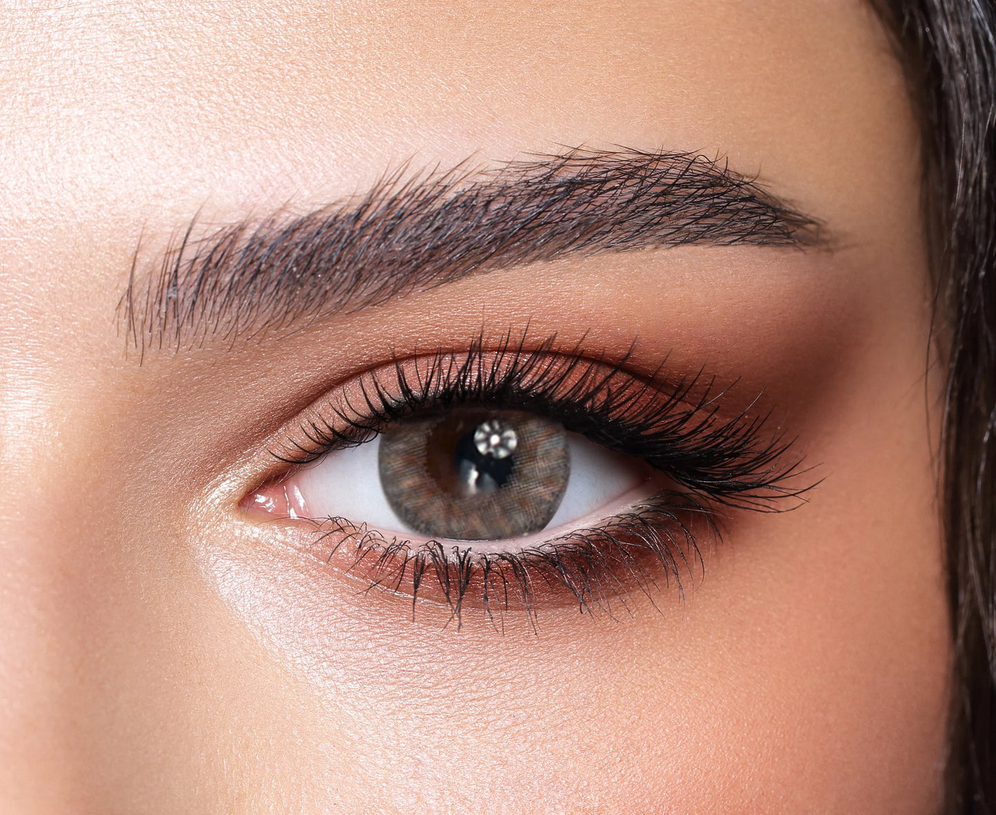 Soft brown Bella One Day cosmetic lenses Korea