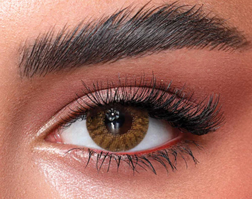 Bella One Day Color Contact Lenses – Radiant Hazelnut