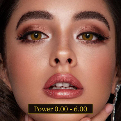 Veni Russian Brown VC-03 Colored Contact Lens | Optical Plaza