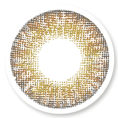 Veni Brown VC-11 – Premium Natural Brown Contact Lenses