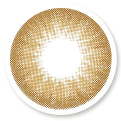 Veni Latte VC-25 Colored Contact Lenses | Optical Plaza