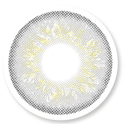Veni Russian Grey VC-02 Colored Contact Lens | Optical Plaza