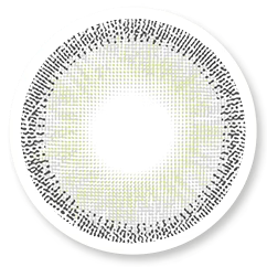 Veni Sugar Gray VC-23 Colored Contact Lens | Optical Plaza