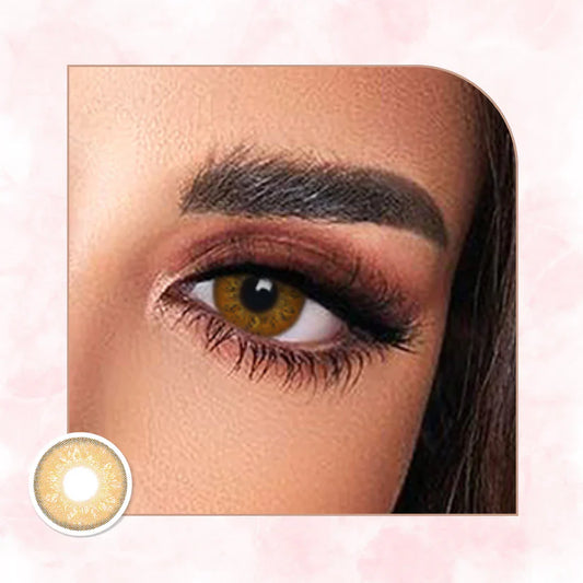 Veni Russian Brown VC-03 Colored Contact Lens | Optical Plaza