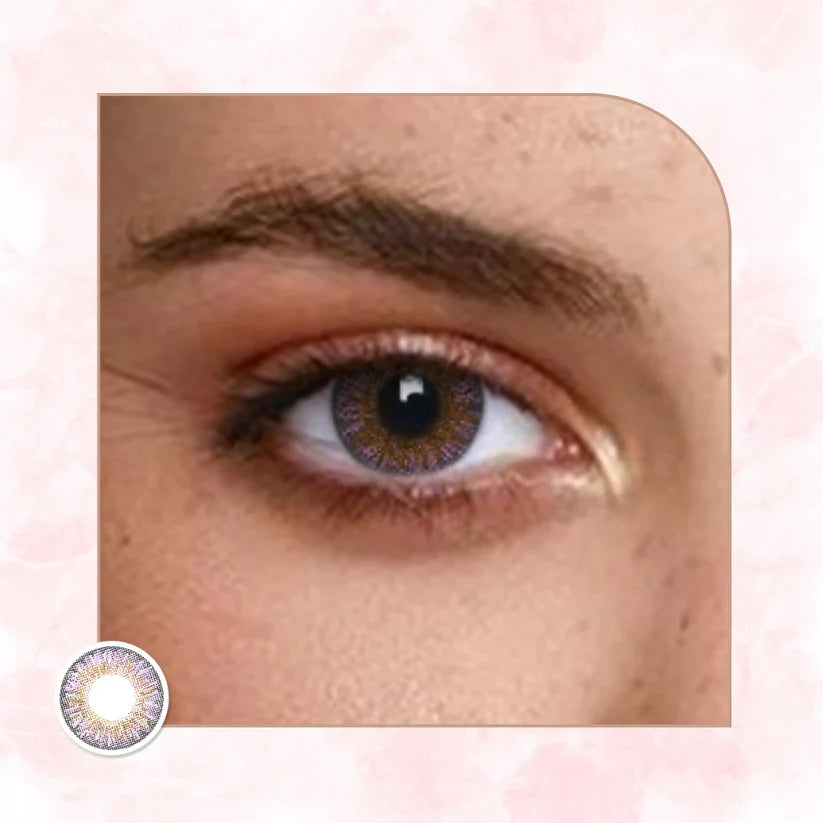 Veni Amethyst VC-13 Colored Contact Lens | Optical Plaza