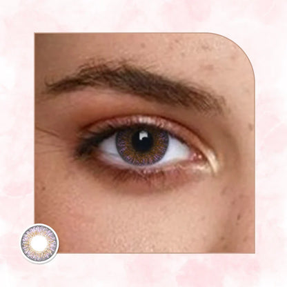 Veni Amethyst VC-13 Colored Contact Lens | Optical Plaza