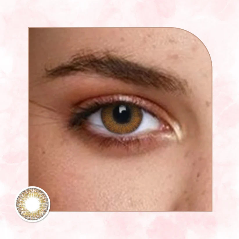 Veni Brown VC-11 Colored Contact Lens | Optical Plaza