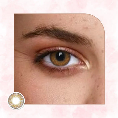 Veni Brown VC-11 Colored Contact Lens | Optical Plaza