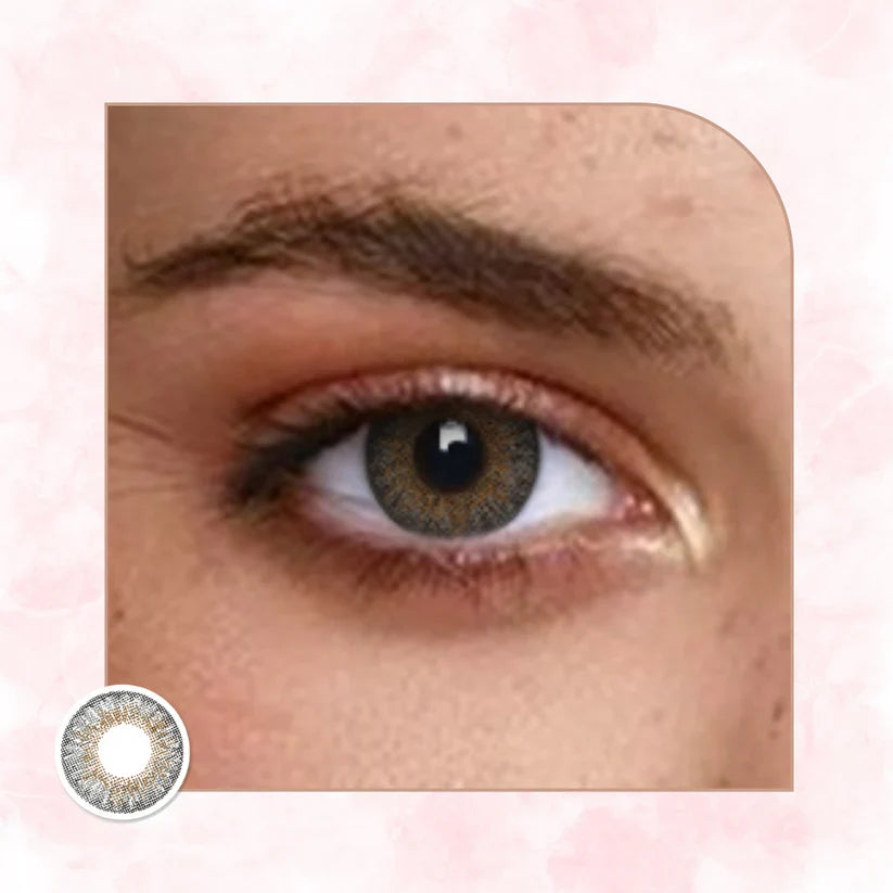 Veni Gray VC-12 Colored Contact Lens | Optical Plaza