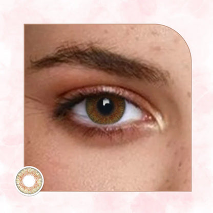 Veni Honey Colored Contact Lens VC-09 by Optical Plaza