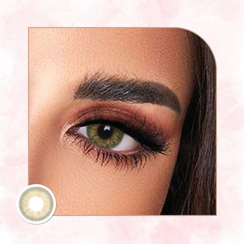 Veni Taylor Brown VC-04 Colored Contact Lens | Optical Plaza