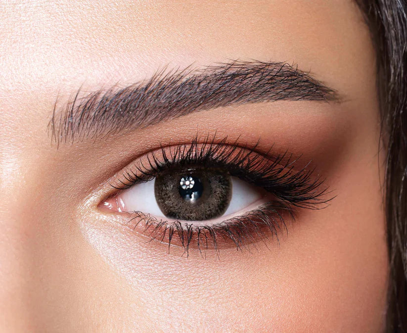 Bella One Day Color Contact Lenses – Ash Brown