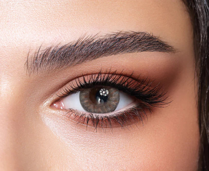 Bella One Day – Rosewood Colored Contact Lens | Optical Plaza