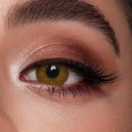 Veni Russian Brown VC-03 Colored Contact Lens | Optical Plaza