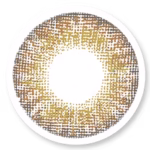 Veni Brown VC-11 Colored Contact Lens | Optical Plaza