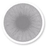 Veni Ice Gray VC-21 Colored Contact Lens | Optical Plaza