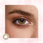 Veni Brown VC-11 Colored Contact Lens | Optical Plaza