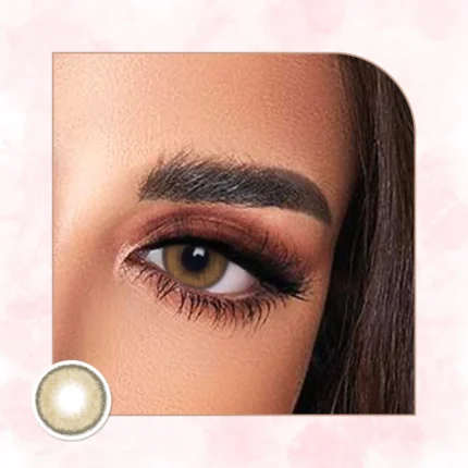 Veni Bassia Brown Colored Contact Lens – VC-01 | Optical Plaza