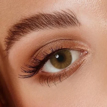 Veni Ocre VC-17 Colored Contact Lens | Optical Plaza