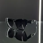 SunForge Black Polarized Sunglasses – Premium Fashion Shades | Optical Plaza